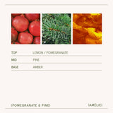 Scented Candle - Pomegranate & Pine - 7oz | La Jolie Muse