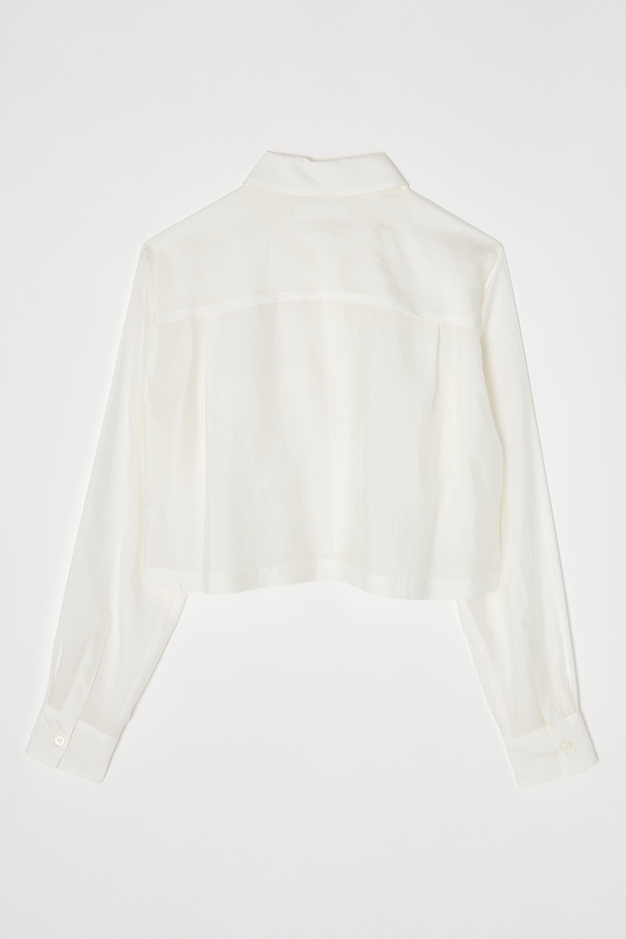 MV BASIC CROPPED SH