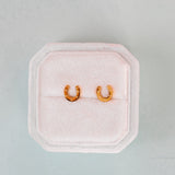 Pierced Lucky You Horseshoe Earrings