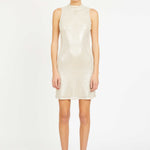 Rayne Dress in Silver