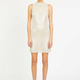 Rayne Dress in Silver