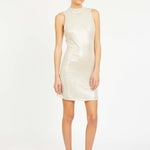 Rayne Dress in Silver