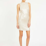 Rayne Dress in Silver
