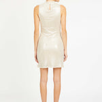 Rayne Dress in Silver