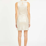 Rayne Dress in Silver