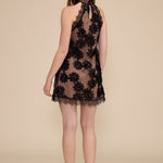 DR5995 LINDA LACE HALTER MINI DRESS