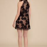 DR5995 LINDA LACE HALTER MINI DRESS