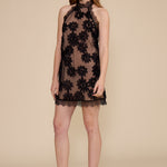 DR5995 LINDA LACE HALTER MINI DRESS