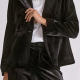 Velvet Blazer